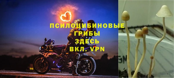 таблы Аркадак