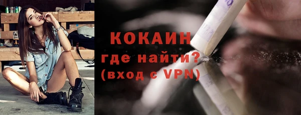 шишки Арсеньев