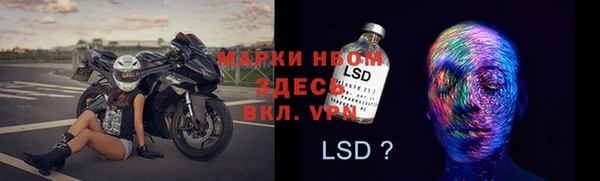 шишки Арсеньев