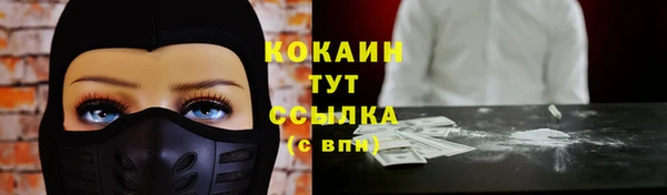 шишки Арсеньев
