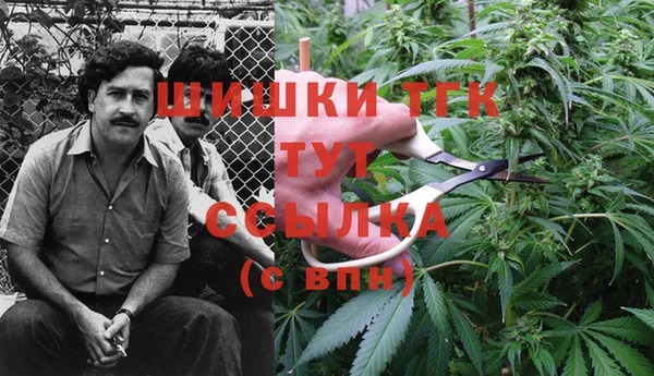 таблы Аркадак