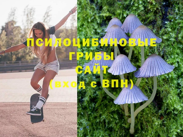 таблы Аркадак