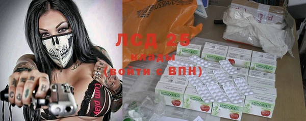 шишки Арсеньев